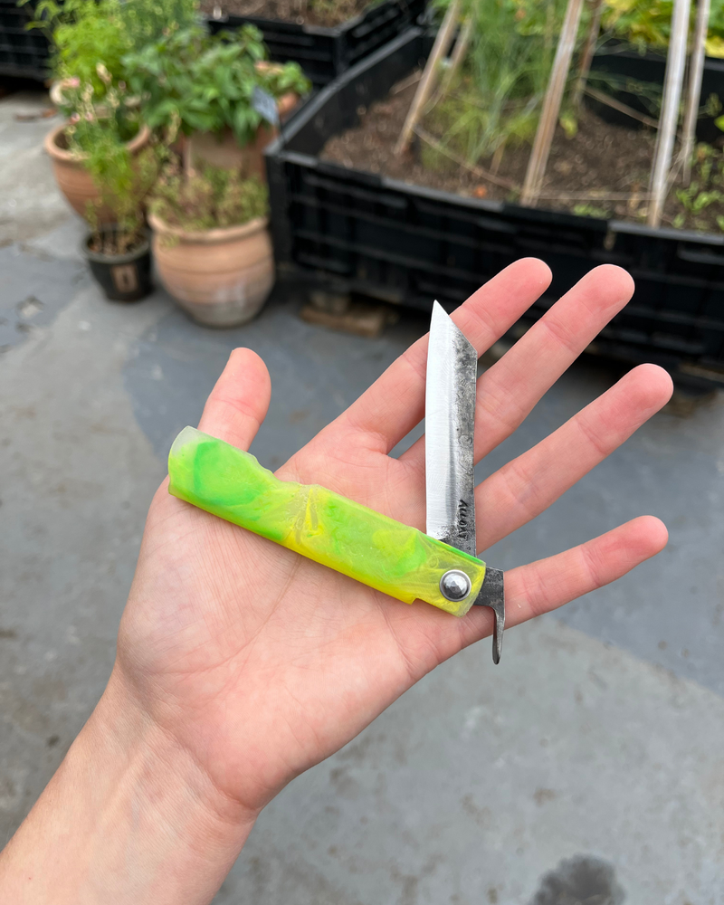 Folding Knife - Keylime