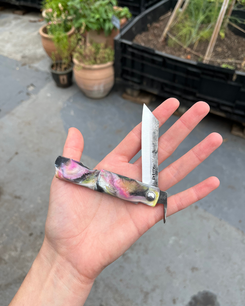 Folding Knife - Liquorice Allsorts