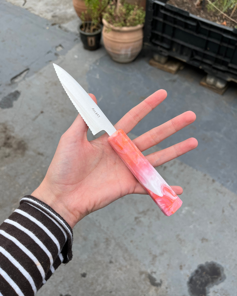 Serrated Petty - Shrimp